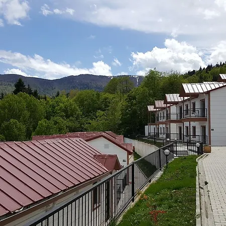 Koliva Artvin