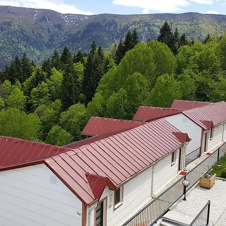 Hotel Koliva Artvin