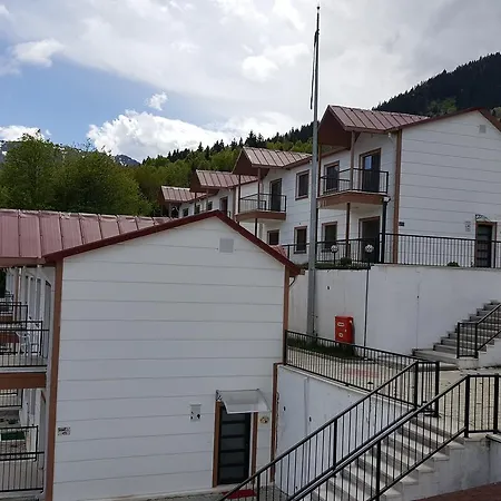 Koliva 3*